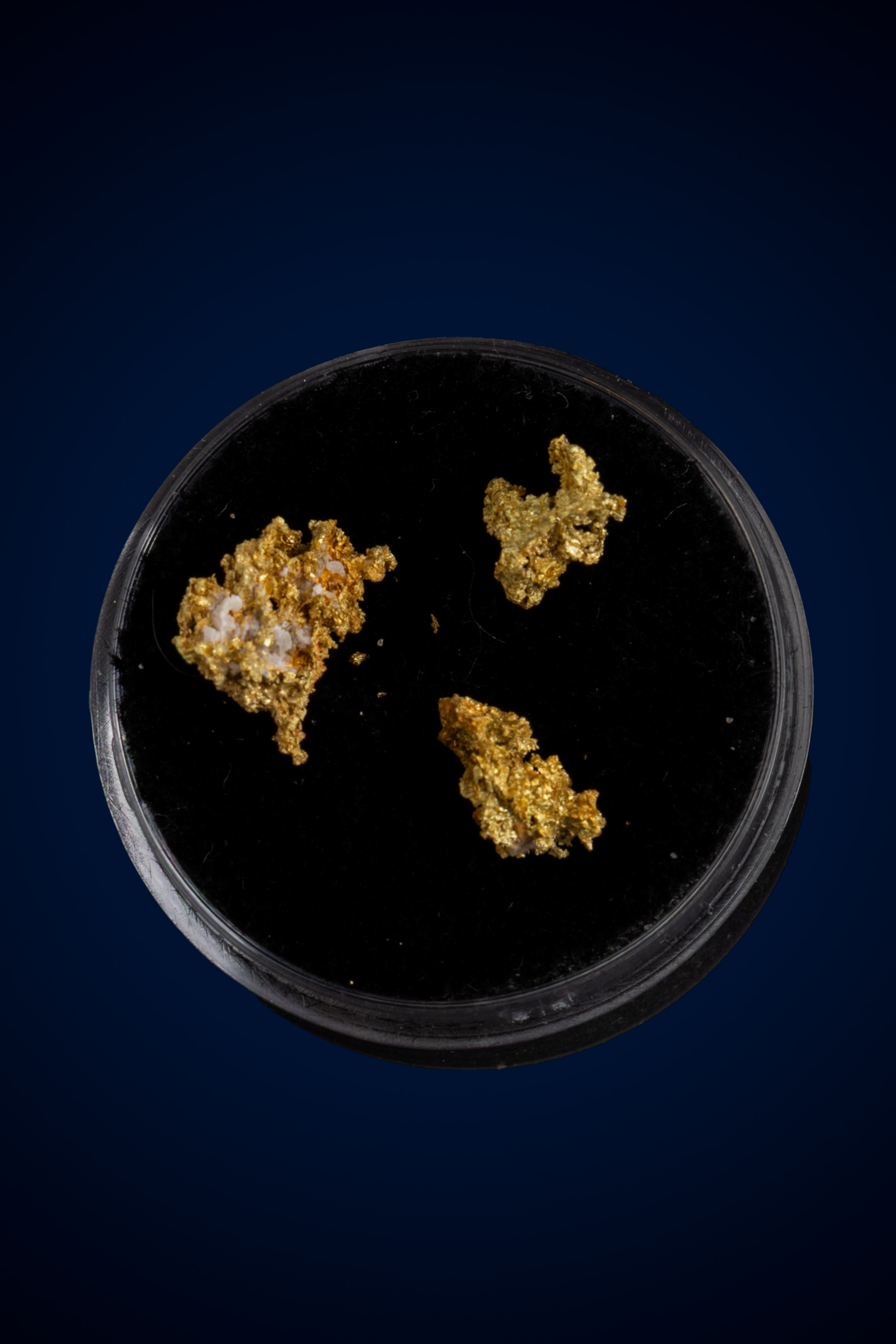 (image for) Three Beautiful Natural Gold Nuggets with Quartz - Winnemucca, NV - 1.21 grams